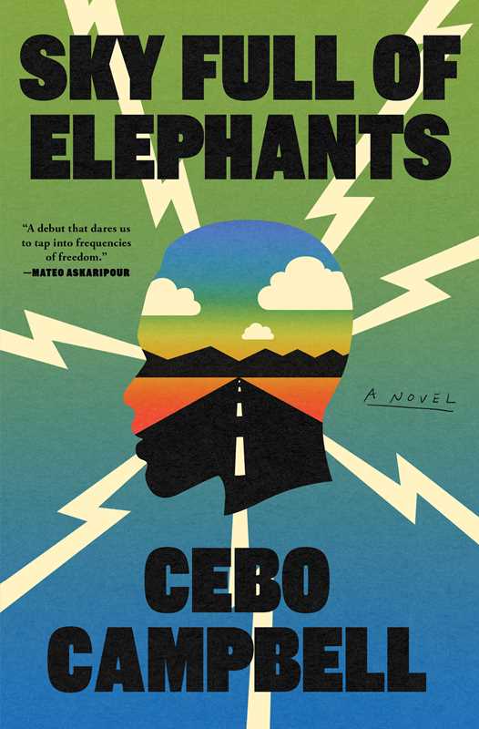 Sky Full of Elephants by Cebo Campbell: Hardcover; 304 pages / English